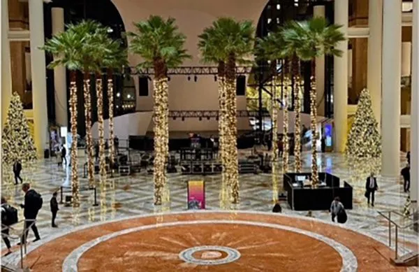 Palms,Pahokee Palms,Pahokee Growers,Specimen Trees & Field-Grown Palms,Speciman Trees,Field Grown Trees